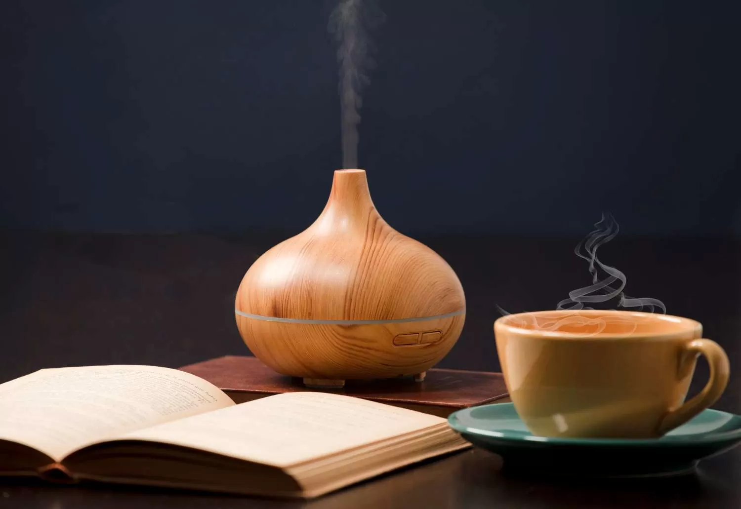 Humidifier Repair Ajax